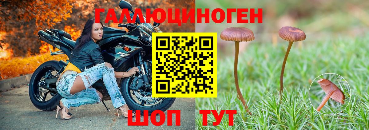 Галлюциногенные грибы MAGIC MUSHROOMS Алексеевка