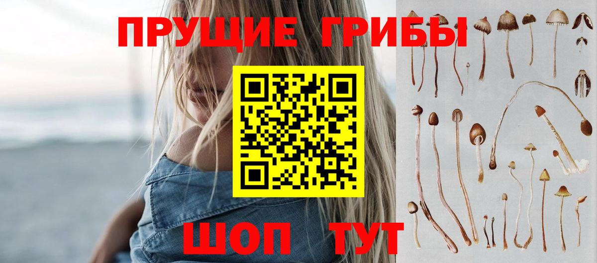Алексеевка  дарнет шоп  Вход с VPN  Псилоцибиновые грибы Magic Shrooms  Псилоцибиновые грибы GOLDEN TEACHER 